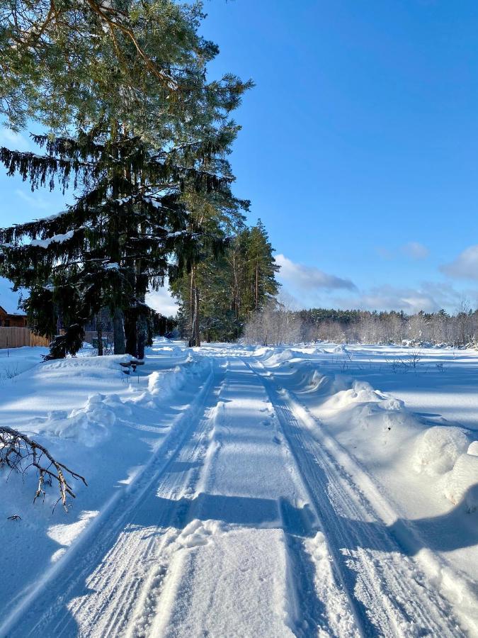 Caloroczne Domy Z Bala - Casa Del Czyzyk Serwy ภายนอก รูปภาพ